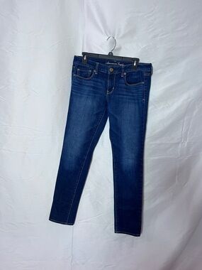 American Eagle Outfitters Indigo Skinny Jeans